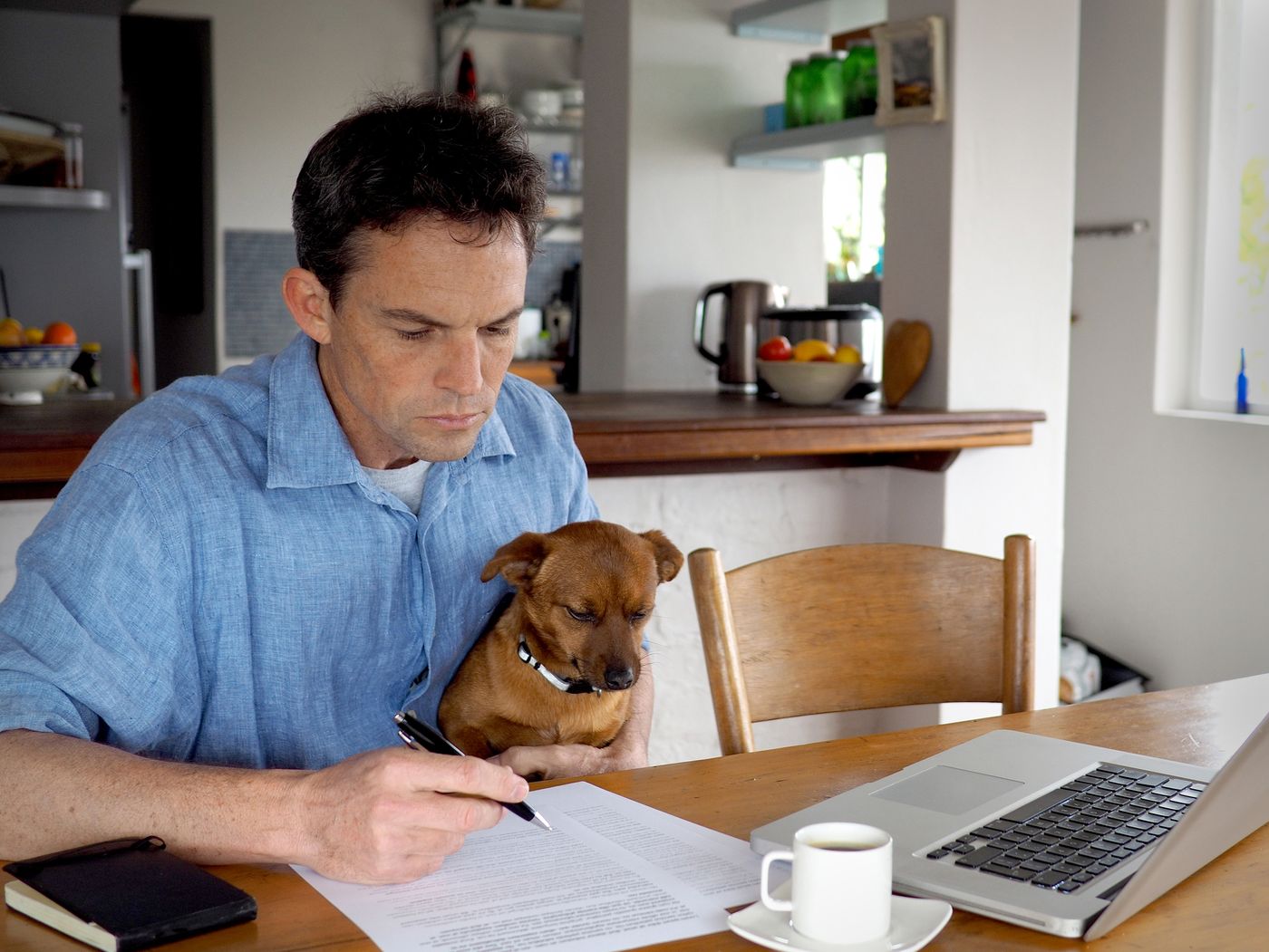 Person preparing landlord paperwork with their dog nearby